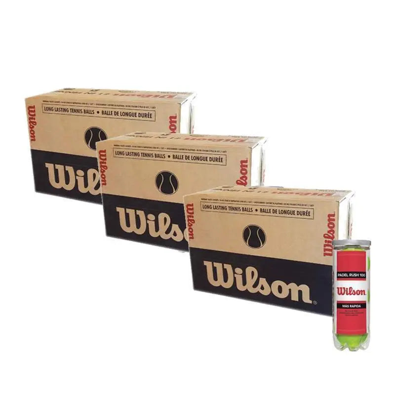 Cajon 72 Pelotas - 24 Botes de 3 uds - Wilson Rush 100 x 3 Unidades Pádel Elite